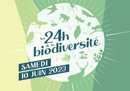 carré 24h biodiv