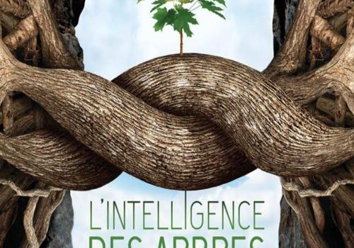 intelligence des arbres