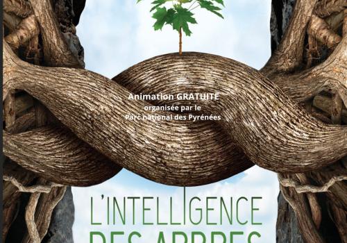 affiche intelligence des arbres