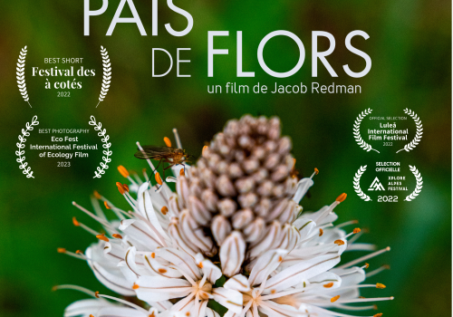 Pais de flors