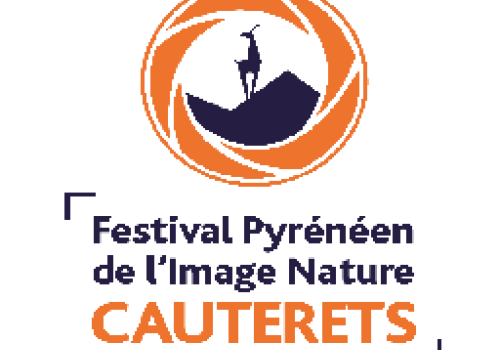 logo_festivalimage_2015-05.png