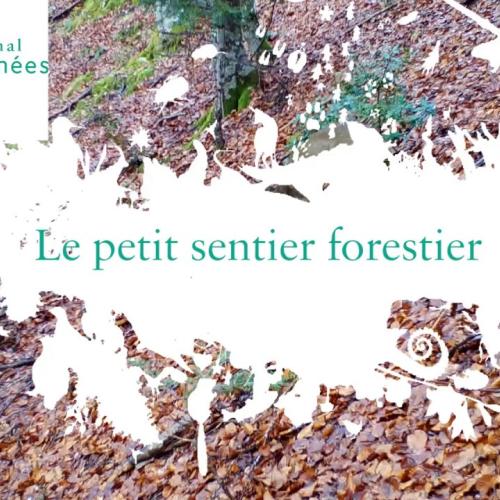 Le petit sentier forestier