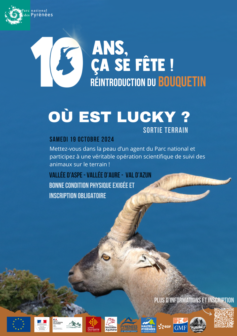 Où est Lucky ?