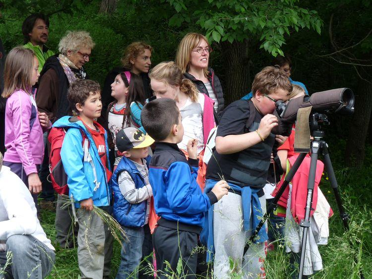 animation_enfants_abc_ayros-arbouix_marie_hervieu.jpg