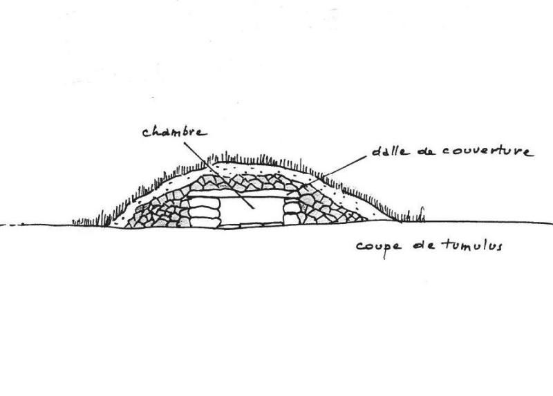 coupe_tumulus_david_penin_recadre.jpg