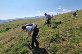 Pose de plaquettes de visualisation © F. Reisdorffer - Parc national des Pyrénées