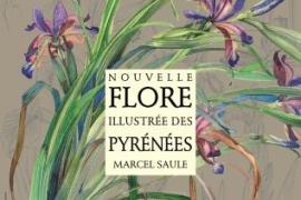 couverture_flore_saule.jpg