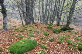 travaux_archeo_protection_tumulus_aspe_7.jpg