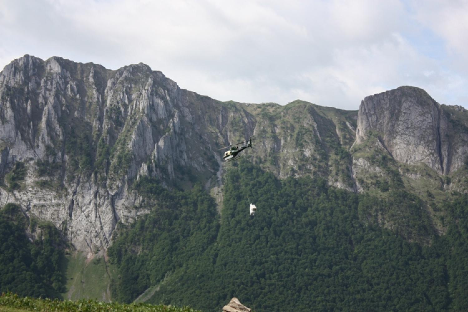 06-06-2012_demoulin_j_heliportages_berger_vallee_daspe_180.jpg