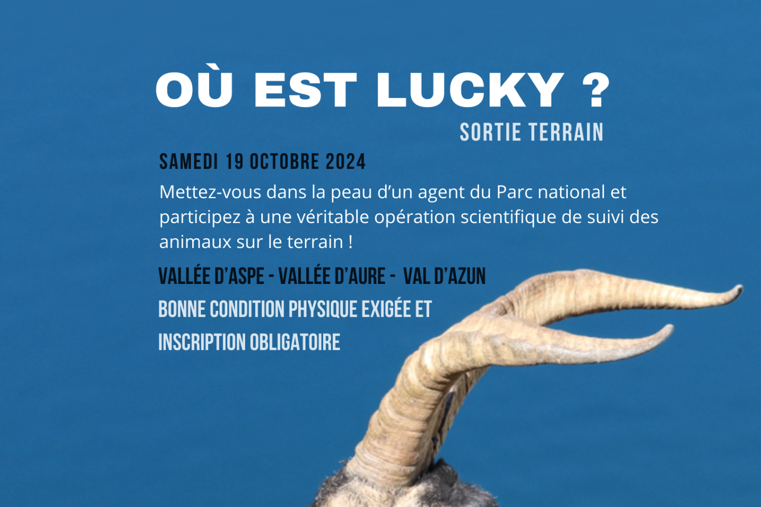 Opération de recherche  « Où est Lucky ? » 