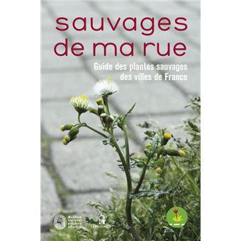 Sauvages de ma rue