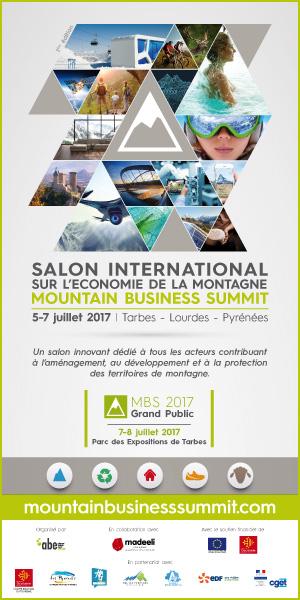 mountain-business-summit-2017-banner-300x600px-fr.jpg